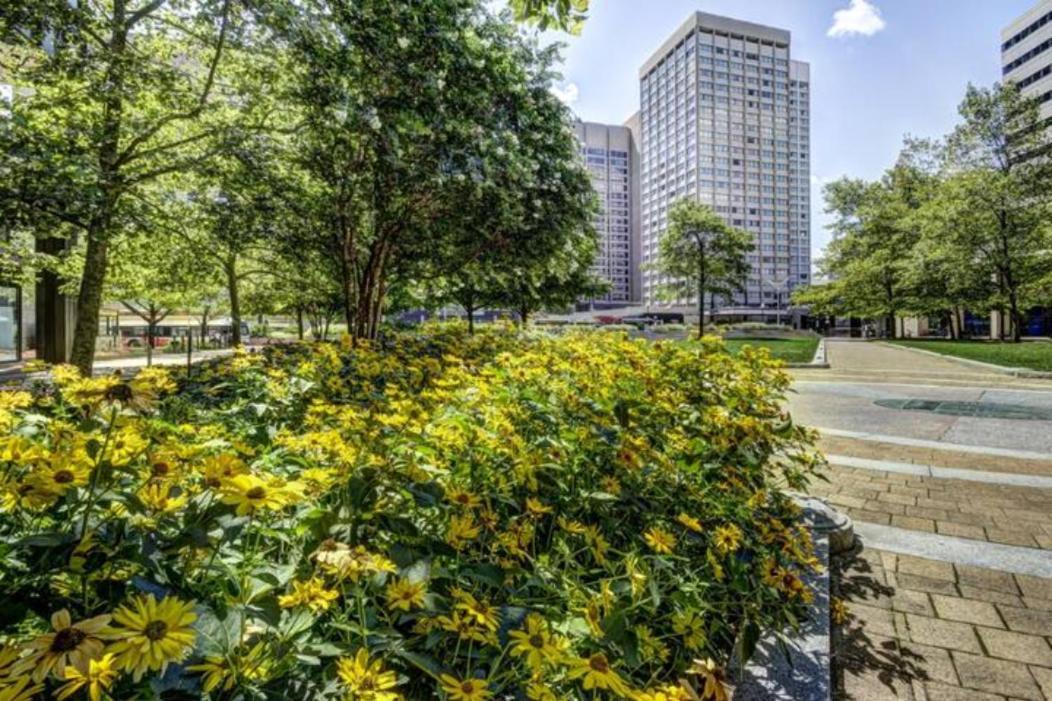 Chase Penthouse At 39 West Baltimore Inner Harbor Convention Center Free Indoor Parking One And Two Bedrooms ภายนอก รูปภาพ